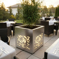 DONICA LED „ROSE BLOOM”