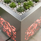 DONICA LED „ROSE BLOOM”