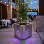DONICA LED „NATURE GRASS”
