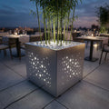 DONICA LED „STARFALL”