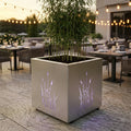 DONICA LED „NATURE GRASS”