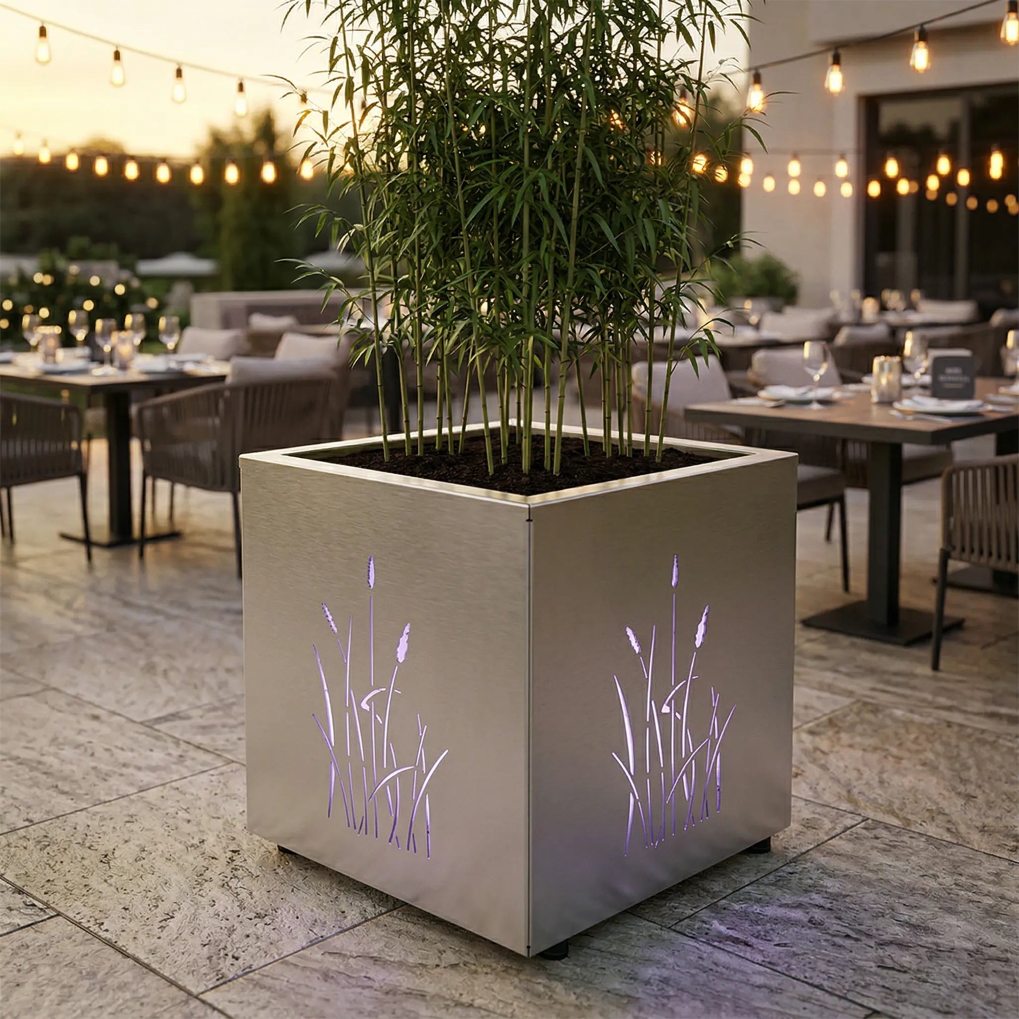 DONICA LED „NATURE GRASS”